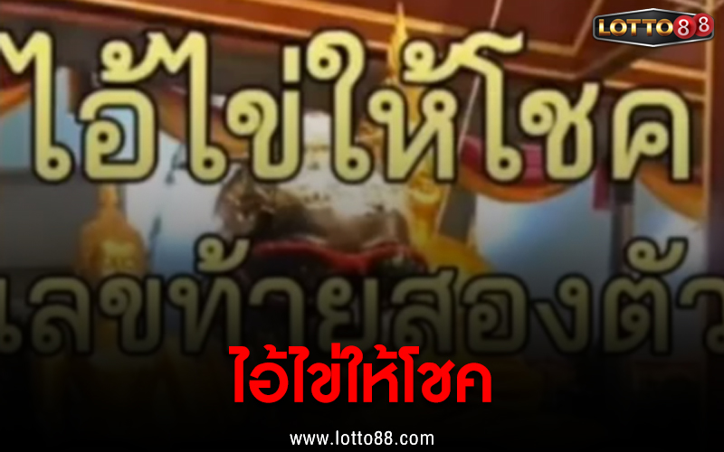 ไอ้ไข่ให้โชค 16/05/65