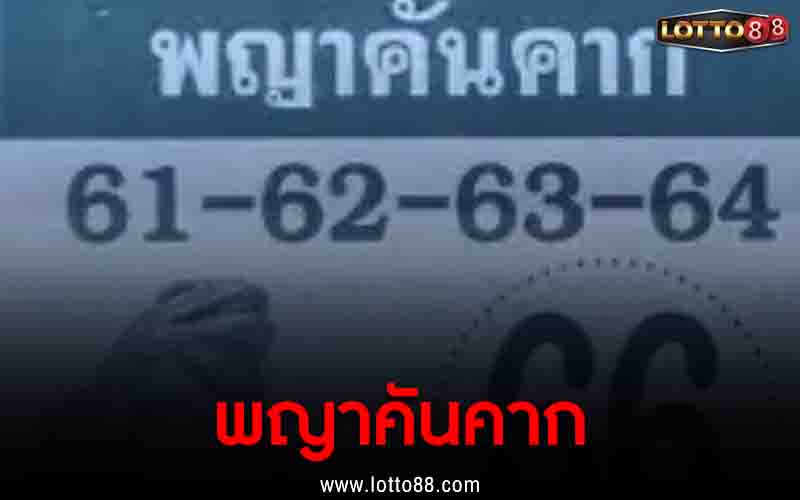 พญาคันคาก 16/11/65